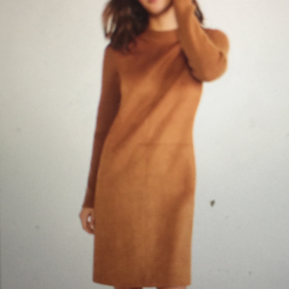 🌺Final Price🌺Ann Taylor Faux Suede Paneled Sweater Dress